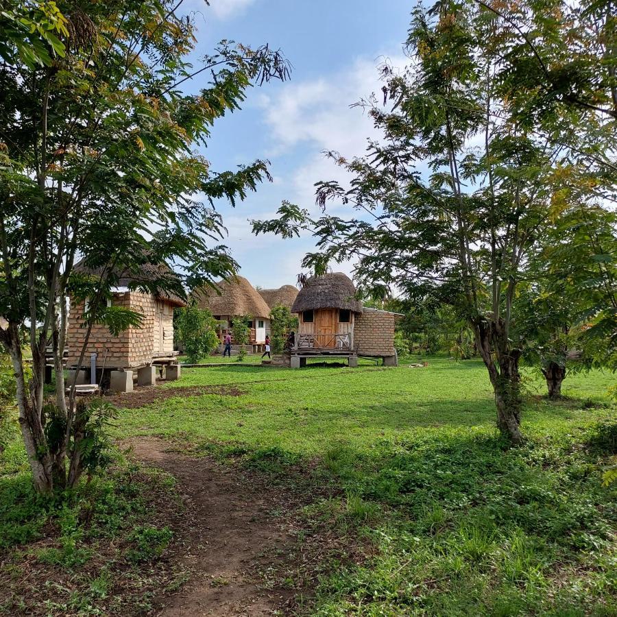Songbird Safari Lodge & Campsite Katunguru Exterior foto